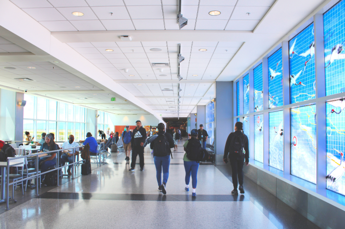 The new tiles will help improve air quality in the terminal